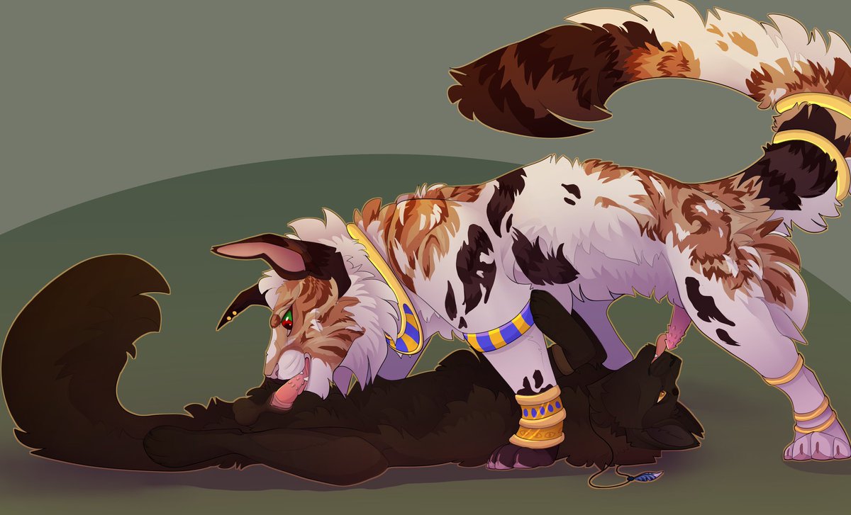 Comms open until this Friday (02/20/25)