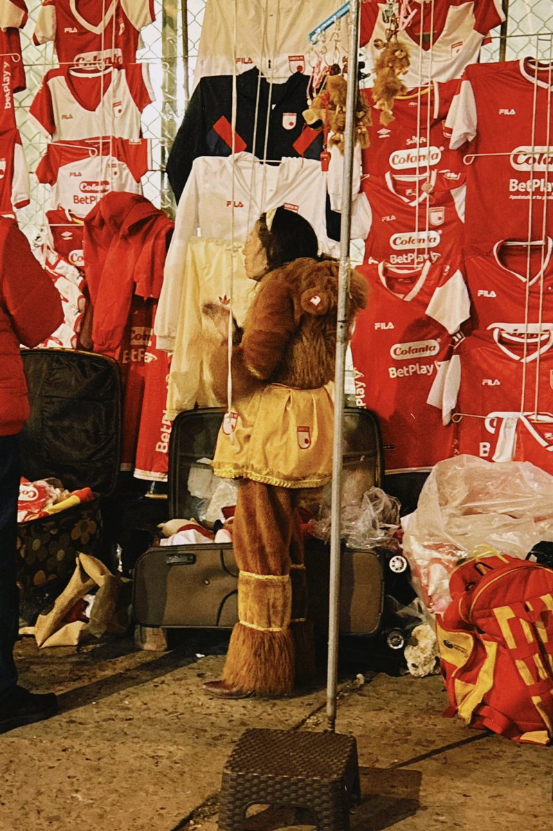 Yo si fuera un therian