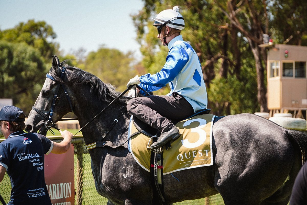 MacedonRacing tweet media