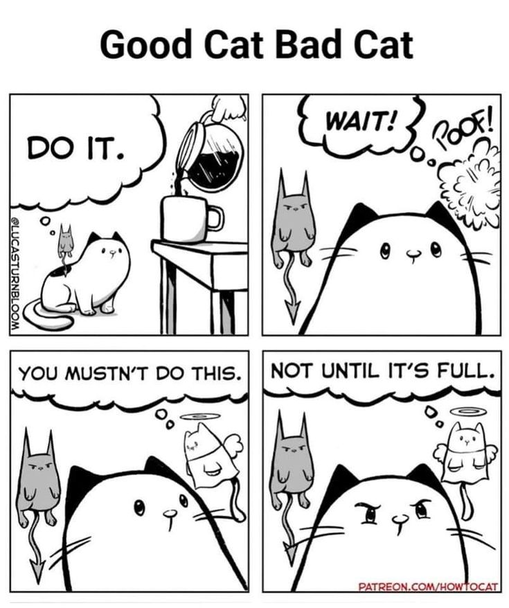 Posts Of Kittens🐾 (@postsofkittens) on X