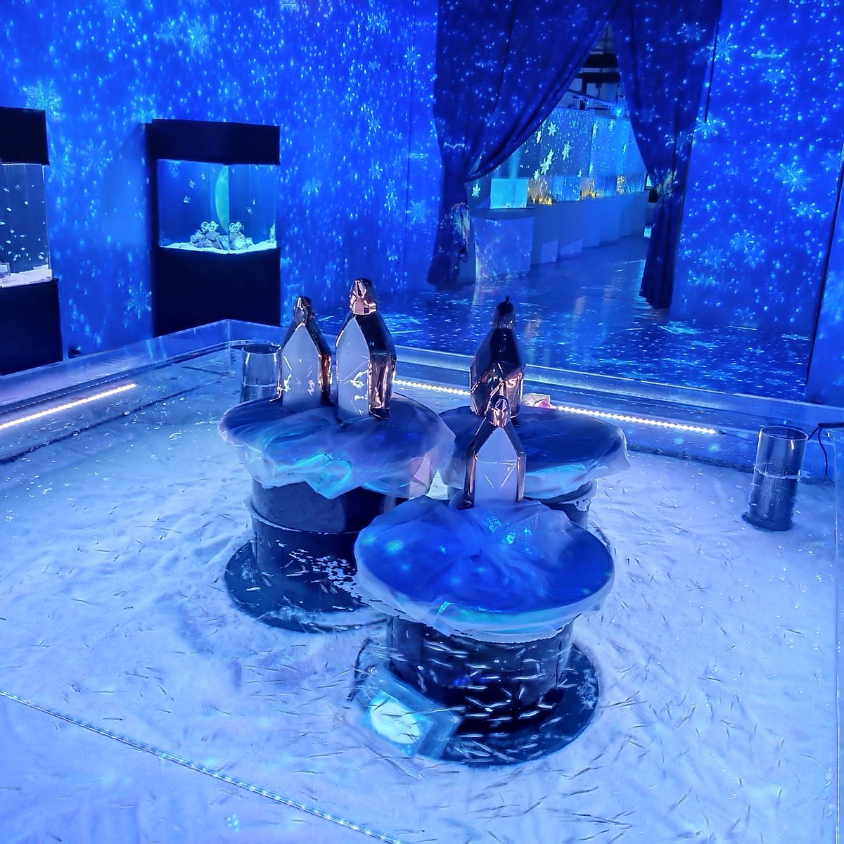 マクセル アクアパーク品川公式 (@_aquapark_) / Highlights / X