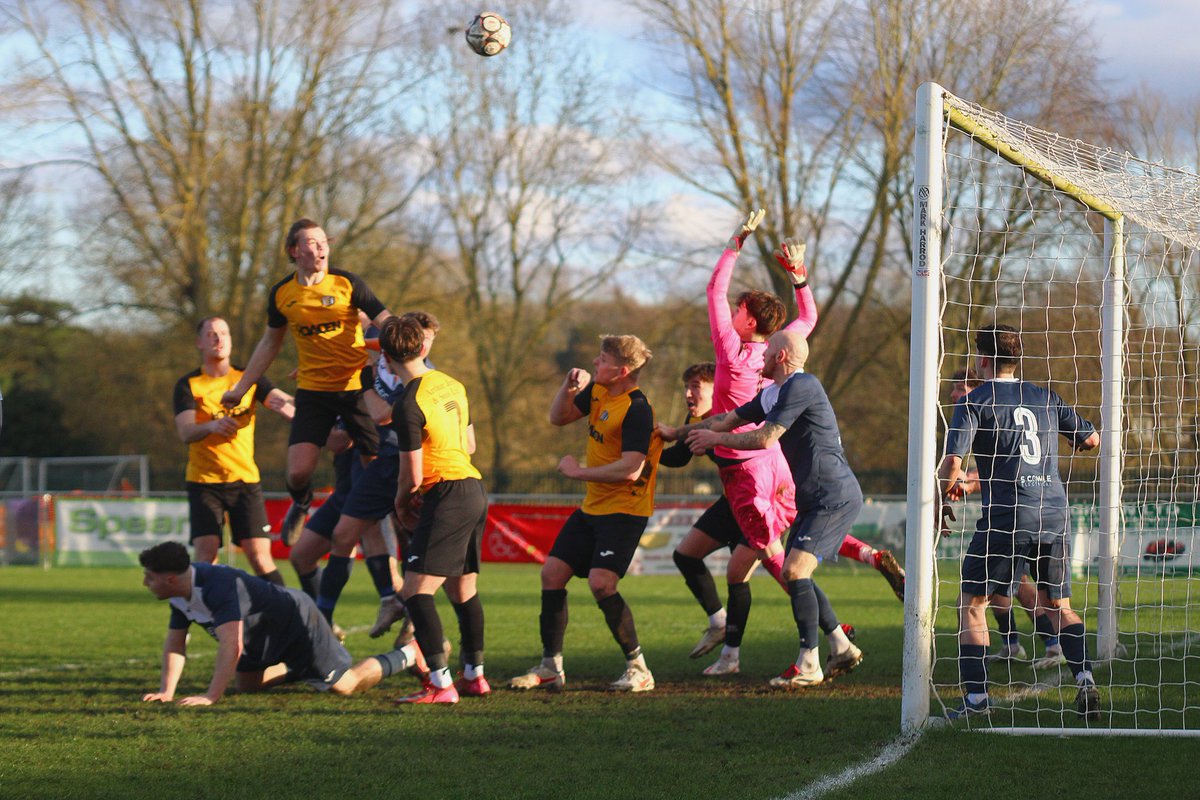 MGPhotography tweet media