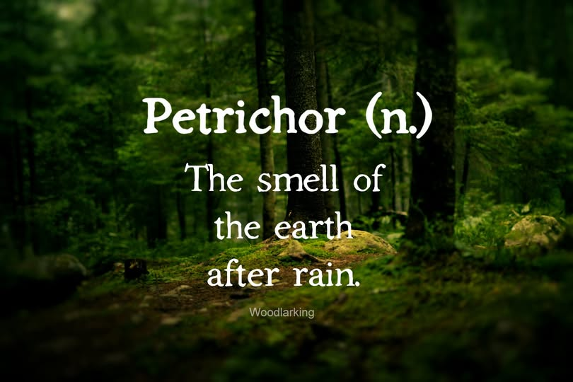 SubRosa )✿( Magick @subrosamagick.bsky.social (@subrosamagick) on Twitter photo 