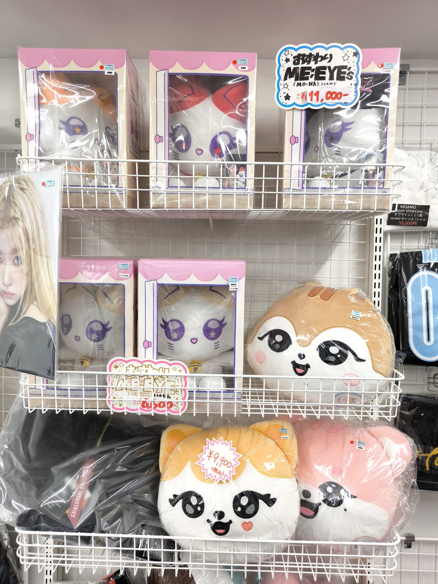 ME_I 🐱 【 コーナー紹介】 お会計レジ前にて『おすわりME:EYE's』も