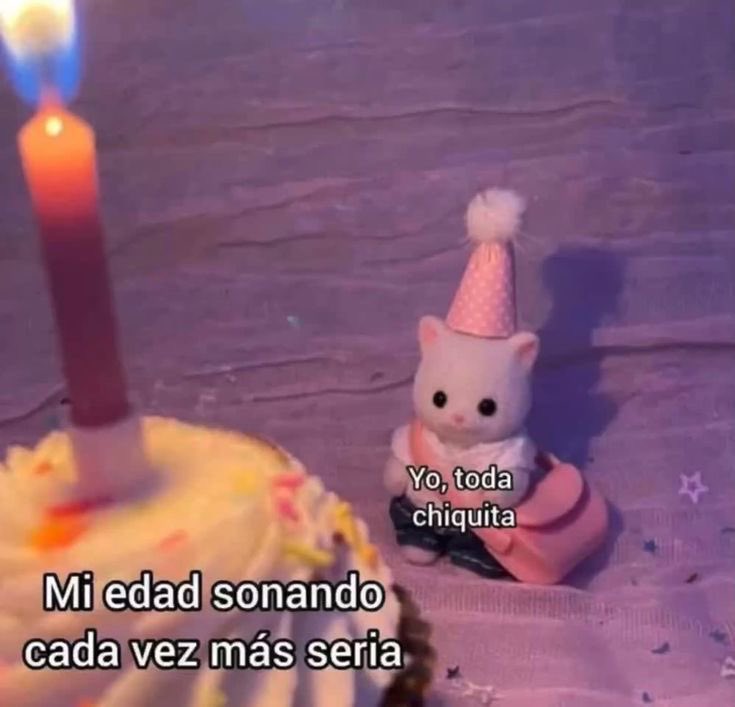 𝕮𝖍𝖎𝖙𝖆 🧸🤎 tweet media