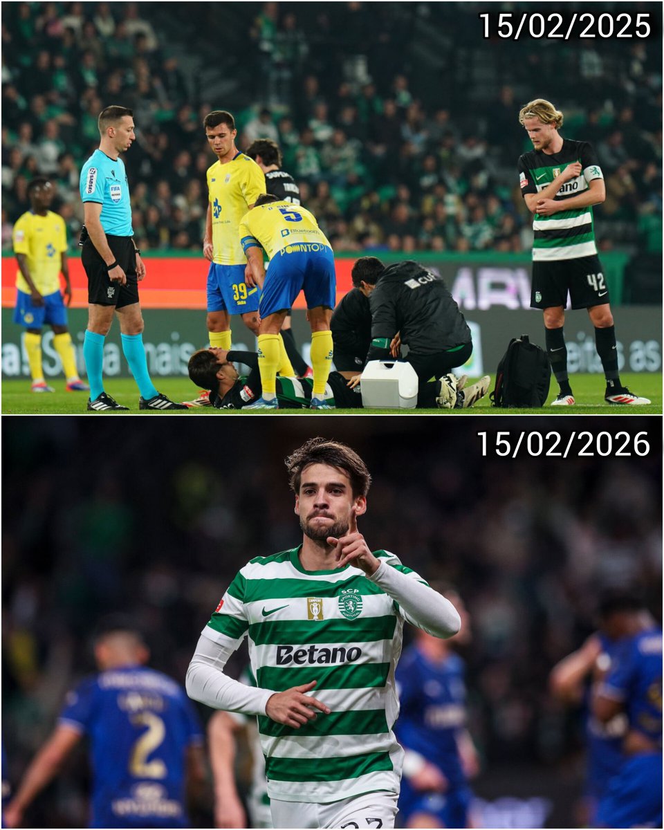 Raça de Leão 🏆🏆 tweet media