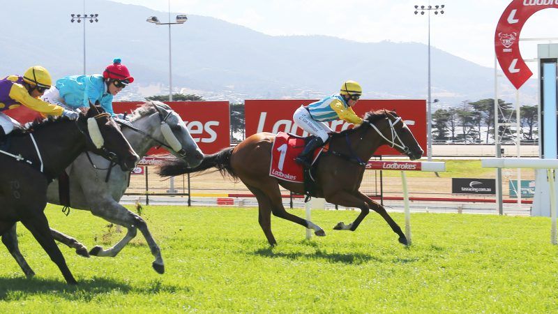 Tasracing Australia tweet media