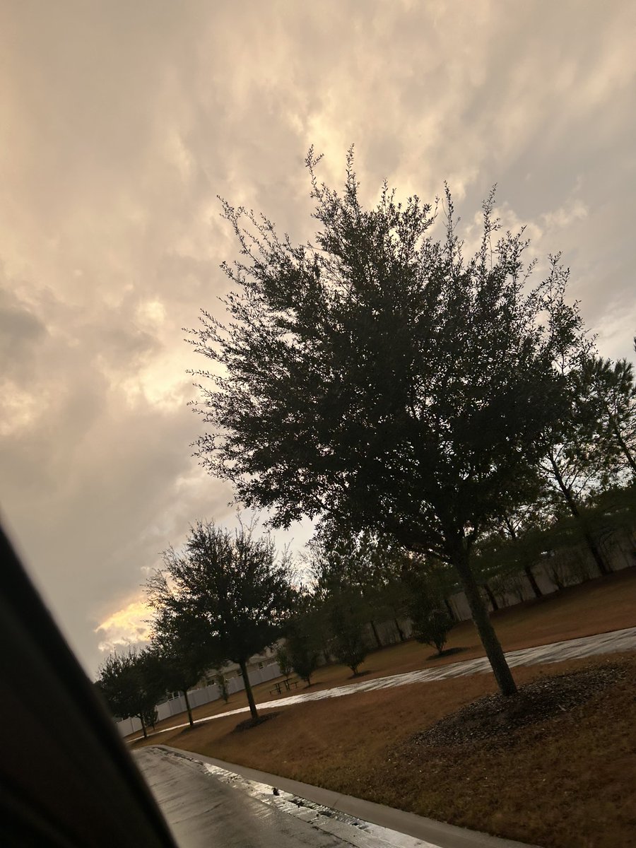 Finally the storm is over! <a href="/OfficialYallbot/">YallBot</a> (permission to share middleburg Fl)