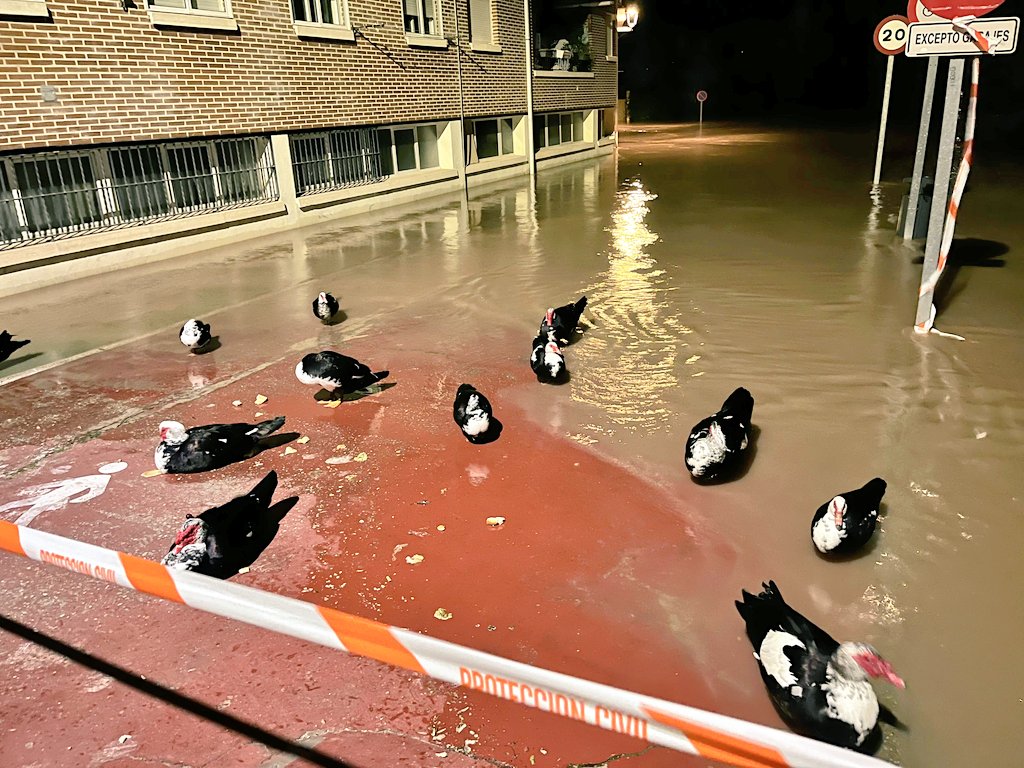 apcvalladolid's tweet photo. 📣 A las 21.30h desplazamos varios equipos con material de inundaciones en previsión del aumento de caudal esta noche en Tudela de Duero (#Valladolid). https://t.co/5qgHdhasmH