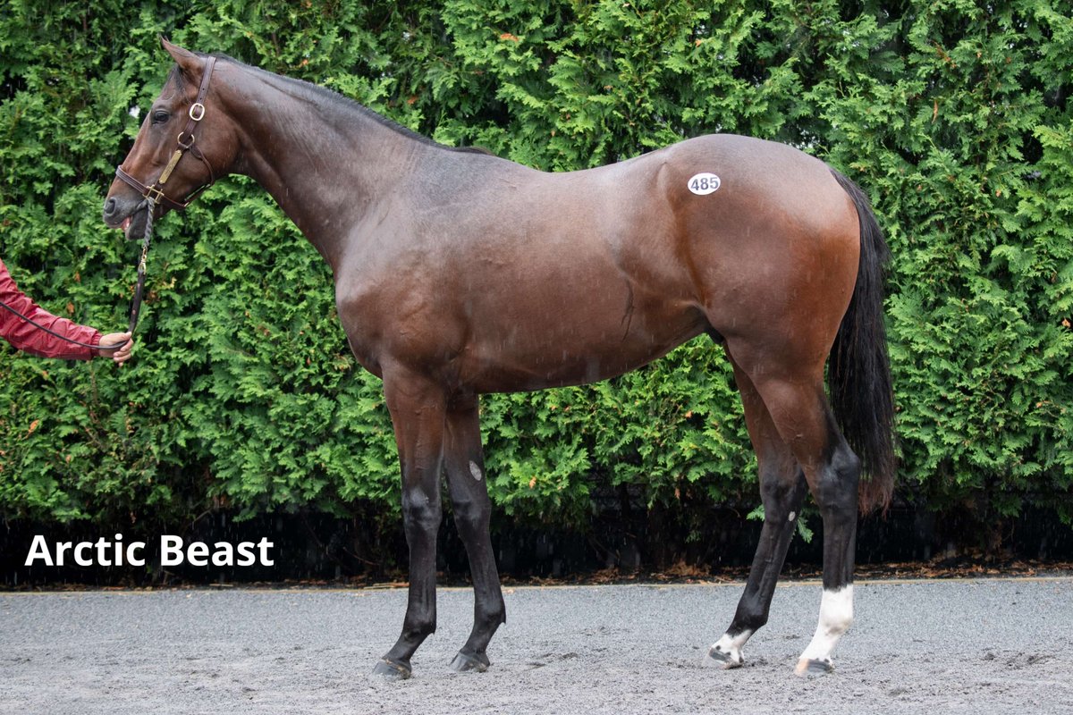 Taylor Made Farm tweet media