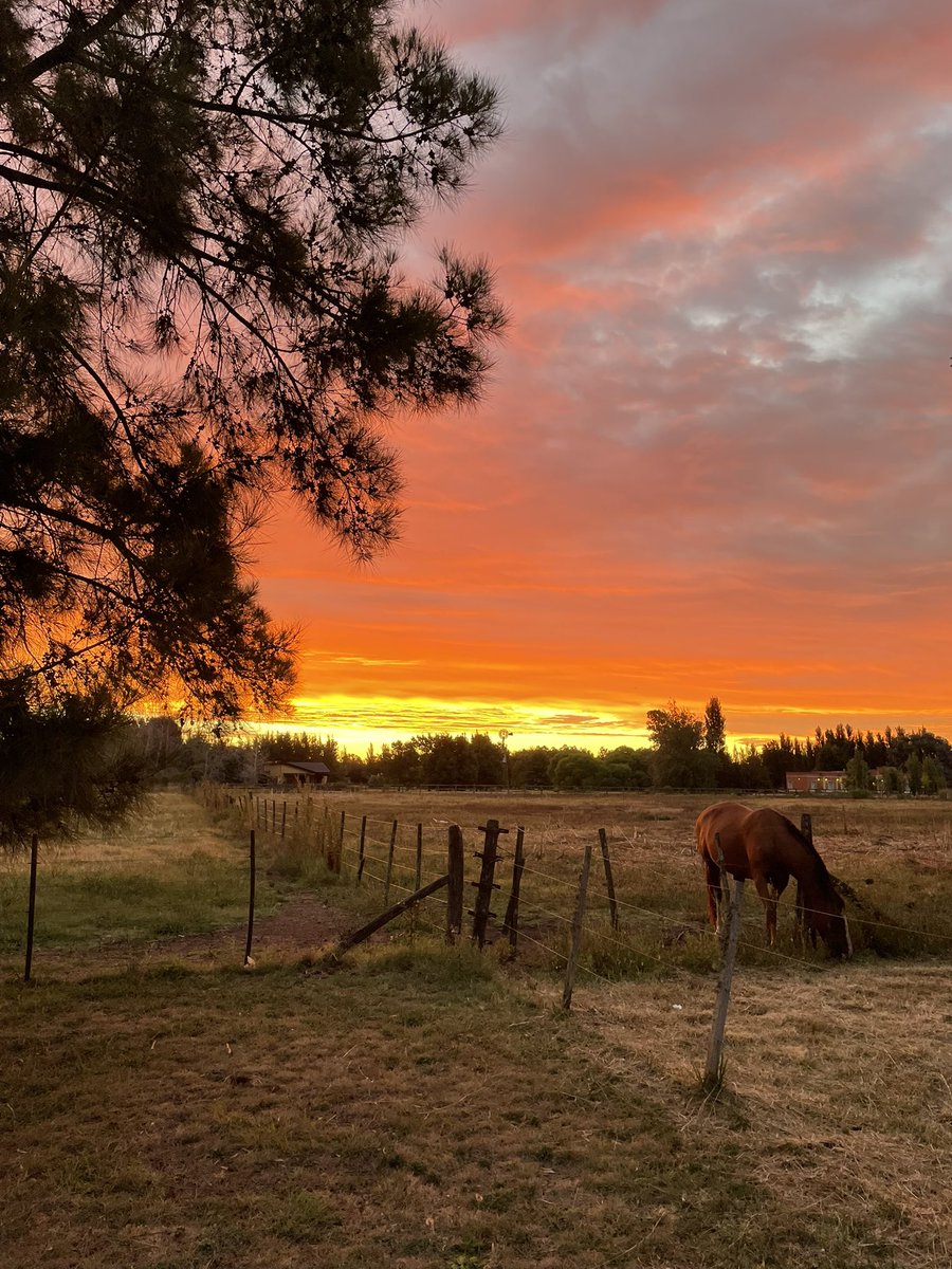 esto y no tener idea como suena un colectivo o ambulancia andando