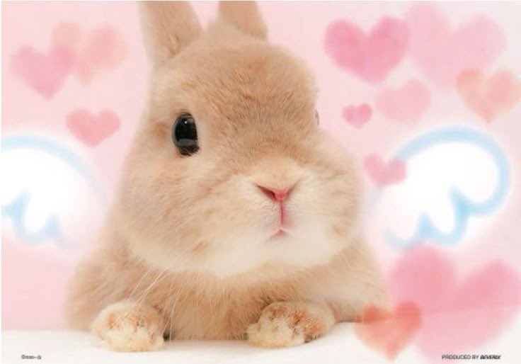 ꒰ 🅂🅄GAR 🦷 (@strawiberi) on Twitter photo 