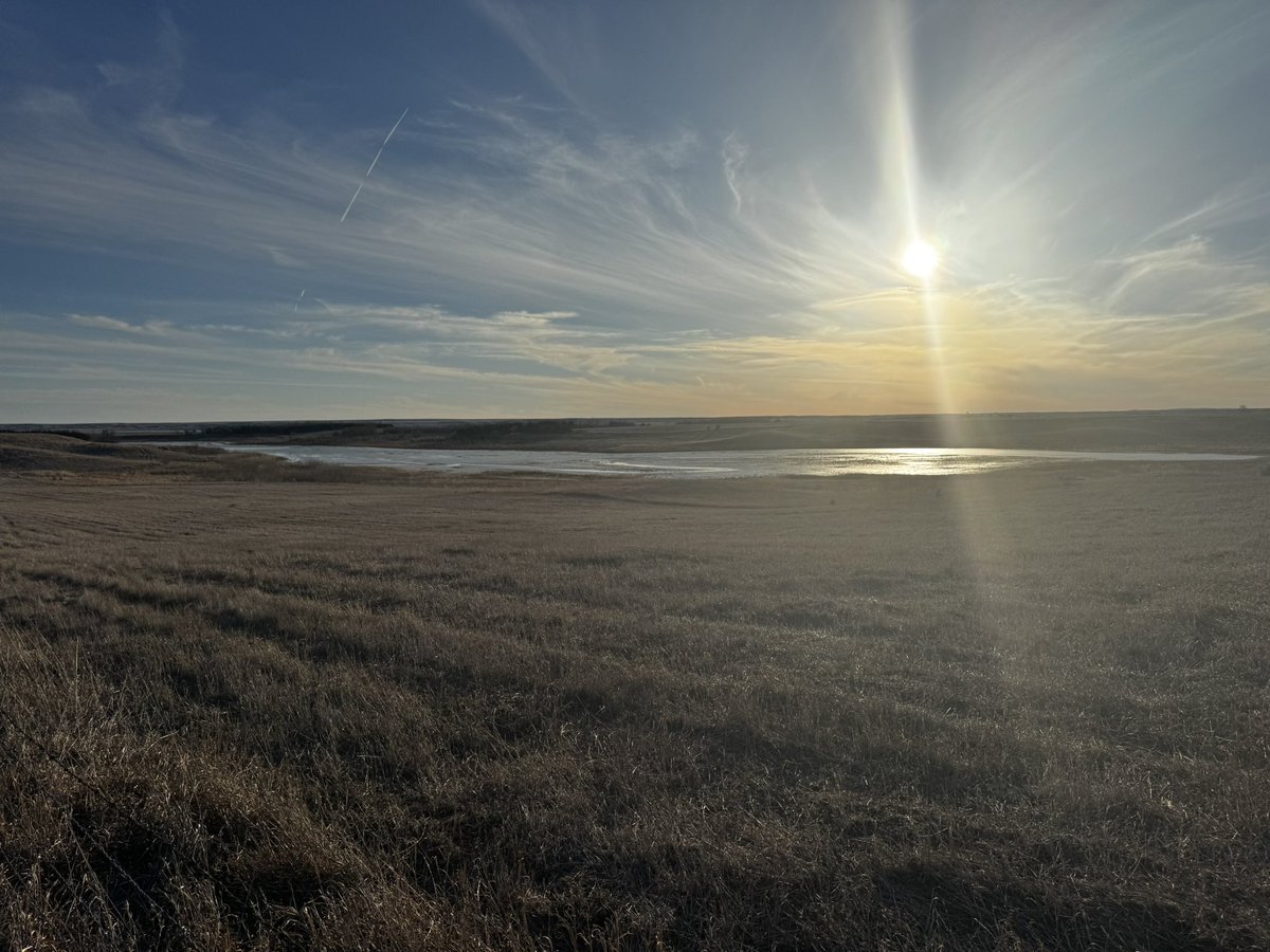 PheasantBabe tweet media