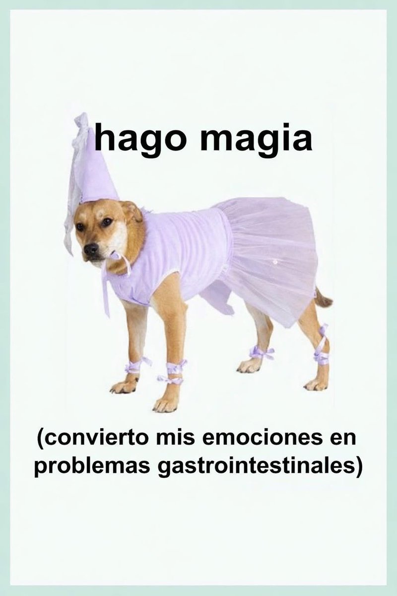 Salvador Iglesias Jr tweet media