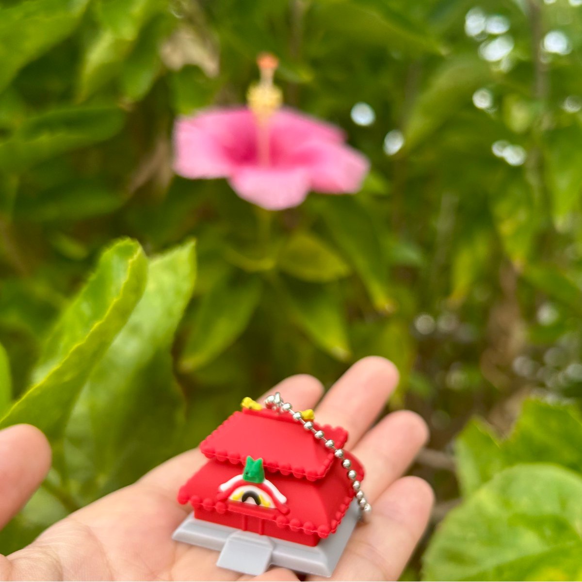 はいたい🌺おはよう～😊 首里城公園 限定のガチャガチャ！ なんと首里