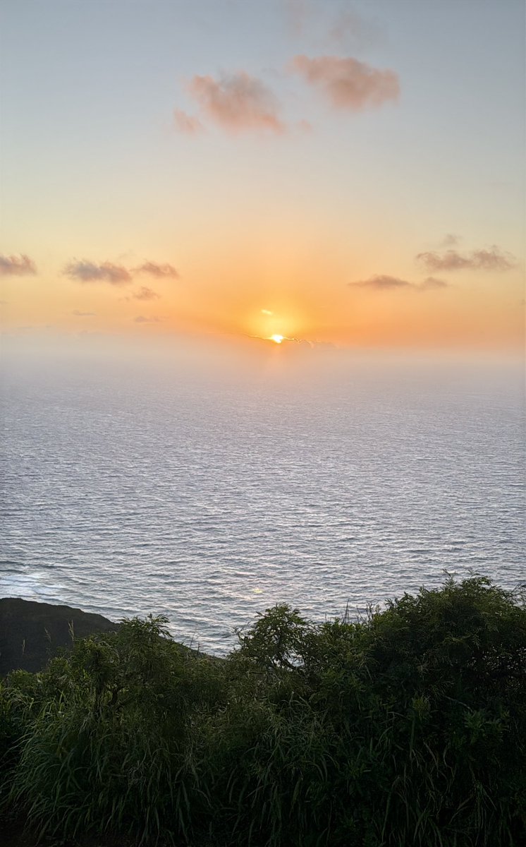 RADICALRP tweet media