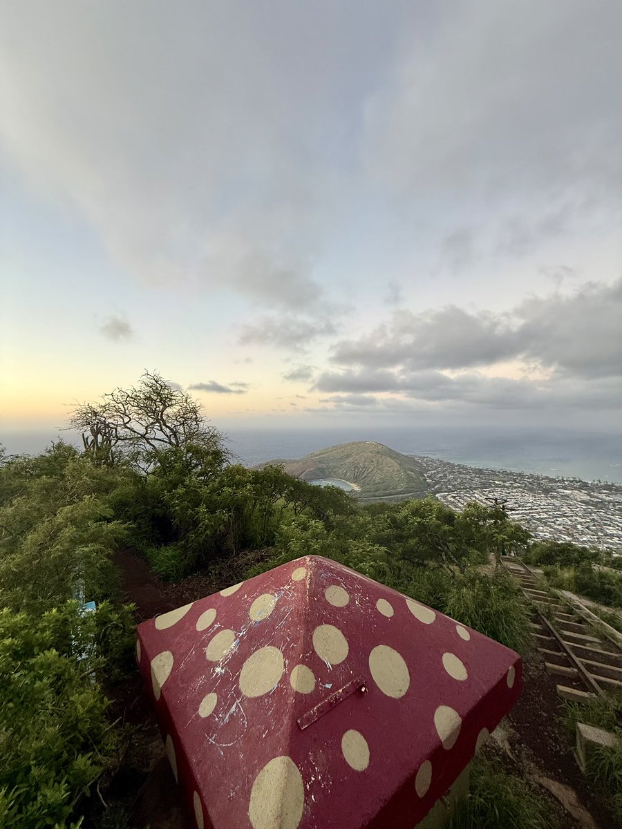 RADICALRP tweet media