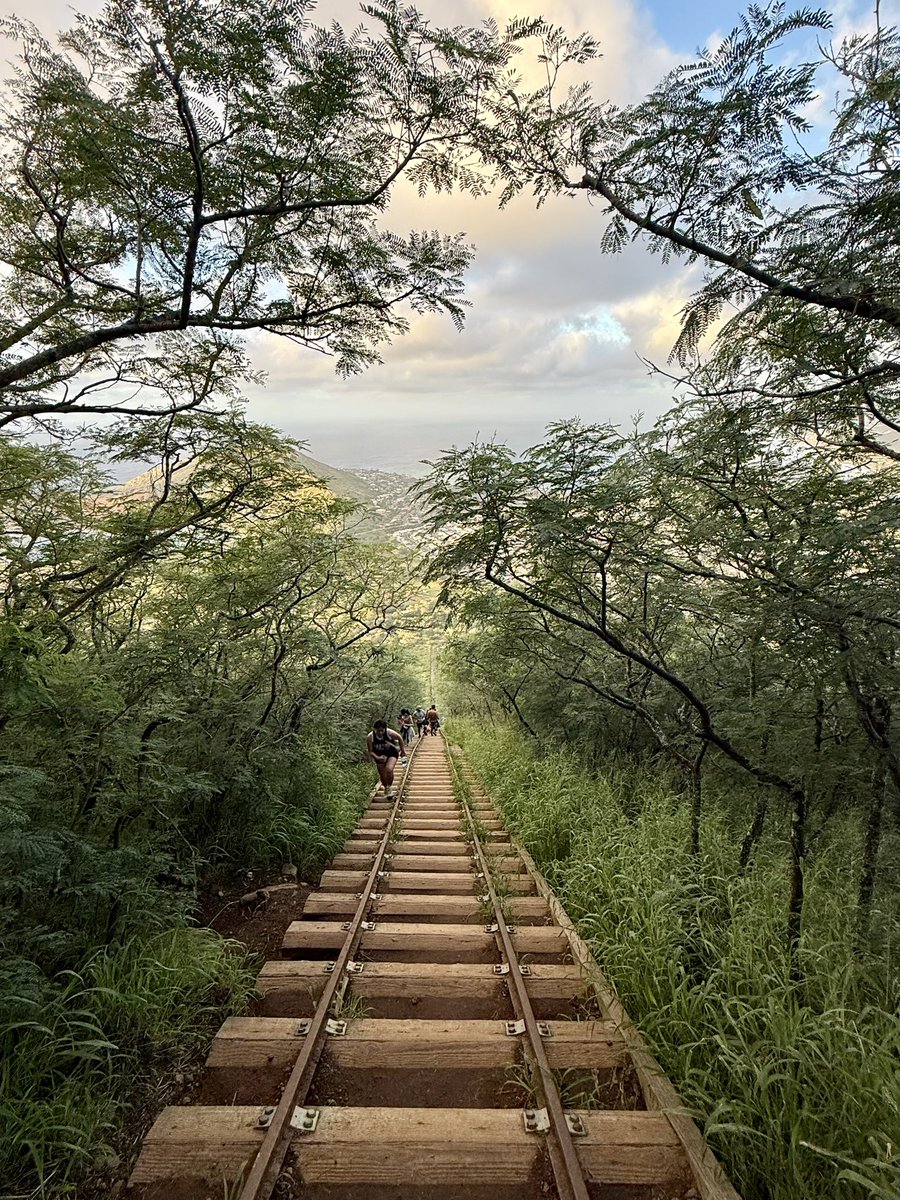 RADICALRP tweet media