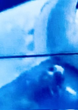 Jon Stewart tweet media