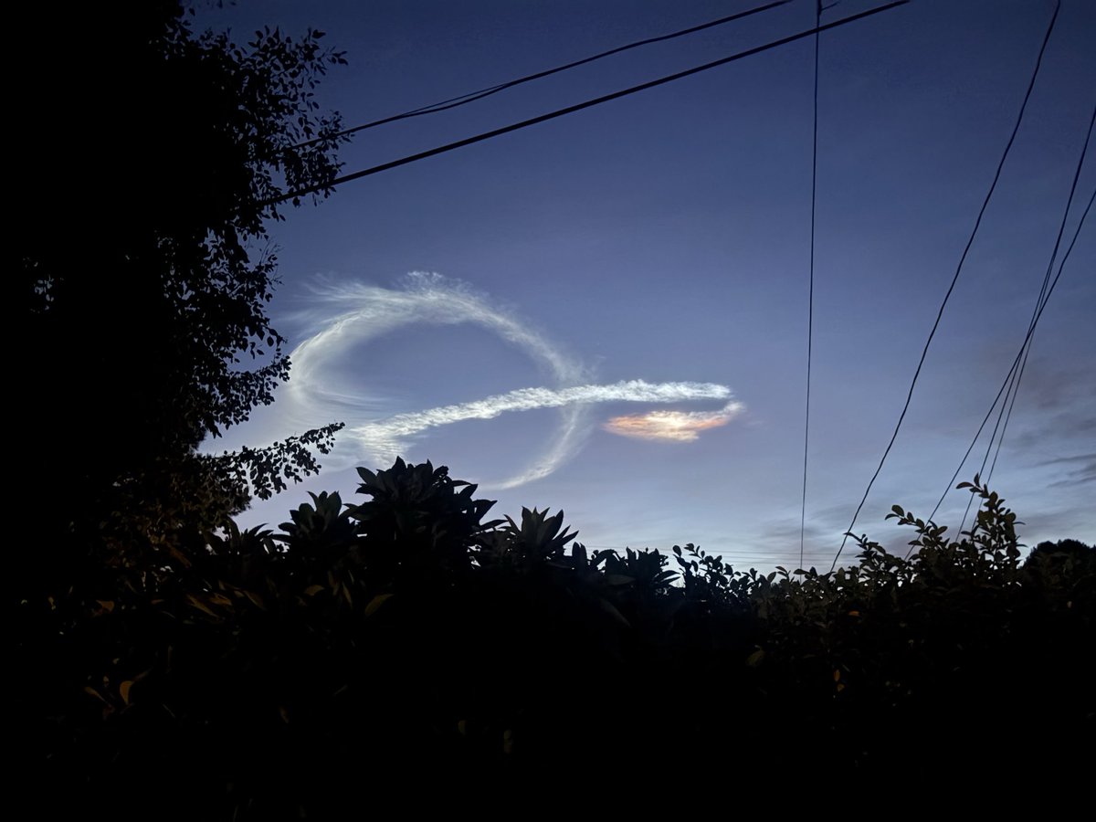 HARV 外人 tweet media