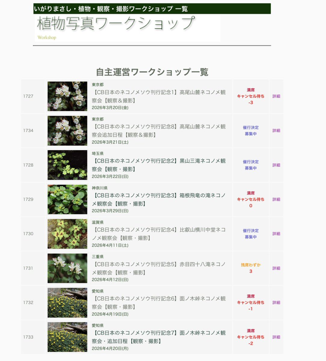 いがりまさし@日本のネコノメソウ出来！ tweet media