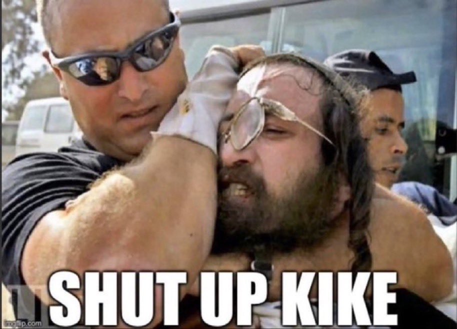 The biggest purveyors of anti-White hatred are fucking jews, so shove your antisemitism bullshit laws right up your kosher fäggöt pedophile asses.