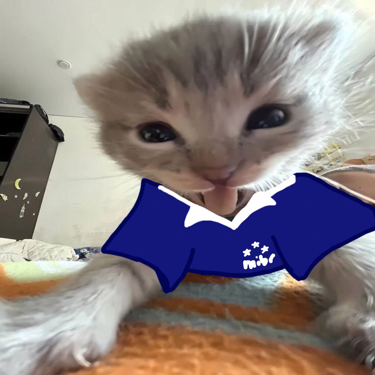 thalita ୨ৎ tweet media