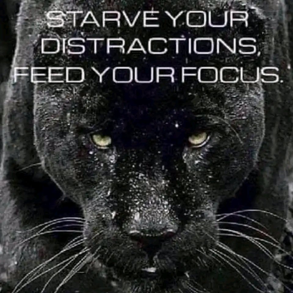 Stop feeding distractions that pull you away from your goals, starve them instead, and start nourishing your focus. I'm already cutting back on time-wasting accounts on X, Now, I'm zeroing in on my mutuals who want to grow together.