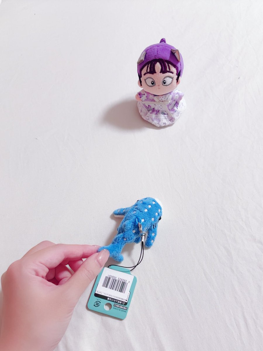 Post by まろ🦊 on X: 🎣