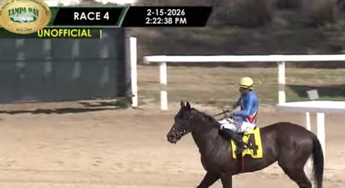 MJM Stable tweet media