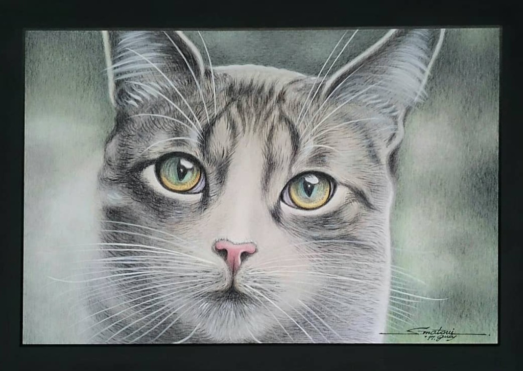 おはようございます😊 季節柄、少し暖かくなった感じがします😊 「The