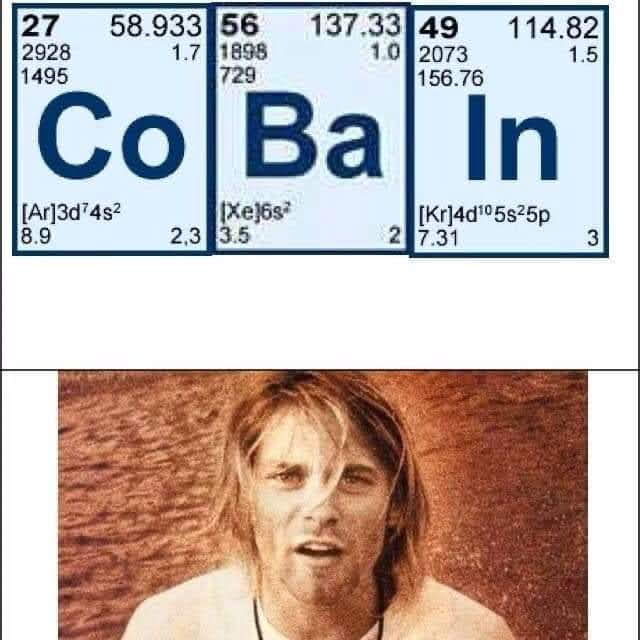 Kurt Cobain didn't kill himself