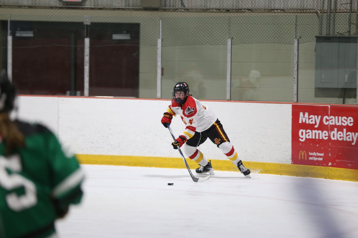 Brandon ToC tweet media