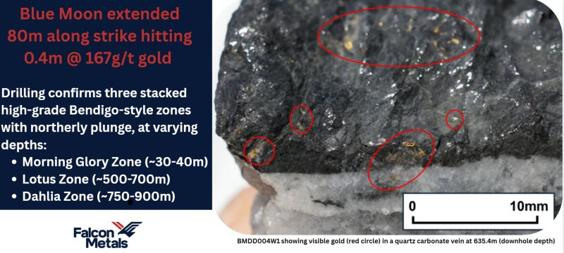 Falcon Metals Limited (ASX: FAL) tweet media