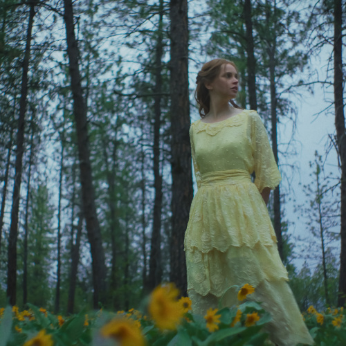 CINEMA 505 tweet media