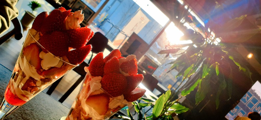 KSquQ3afEq26RiJ's tweet photo. 今週は…
暑すぎた…🌞
いちごパフェ日和🍓
ため息レベルの美味しさ😭
ありがとうございました🎵
また遊びに行きますね~🚙💨
#CAFERST
#焼きジョーズはチョコレート🍫🥰 https://t.co/506GvmHAqQ