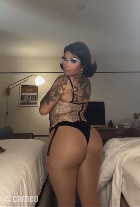 maeblushdion's tweet image. 