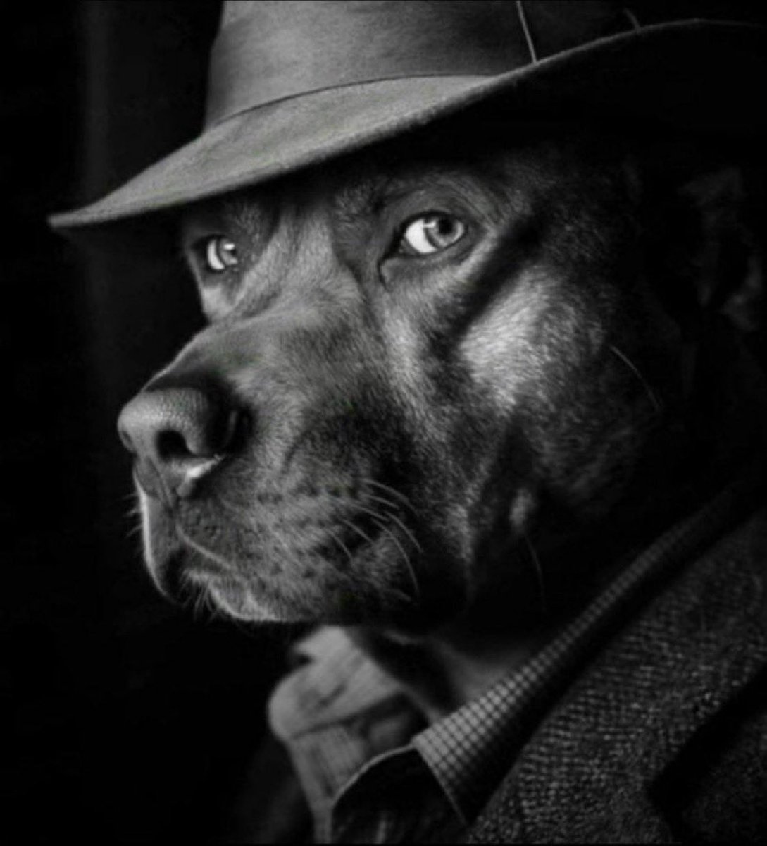 Niggas who bundle 40% then scan the ca in the group chat saying “ I think this gonna cook hard”