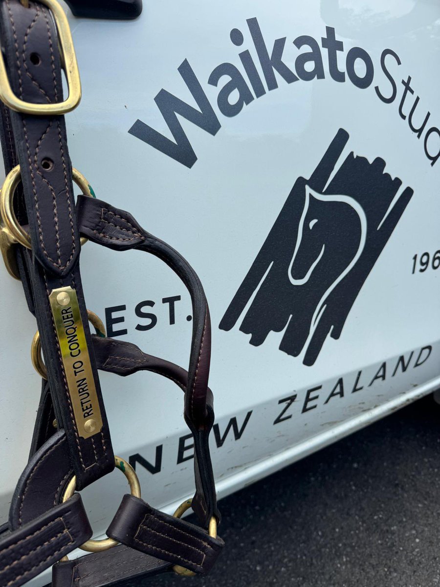 Waikato Stud tweet media