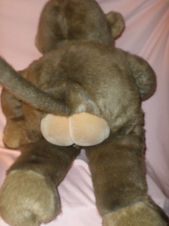 Nun 🏴‍☠️ tweet media