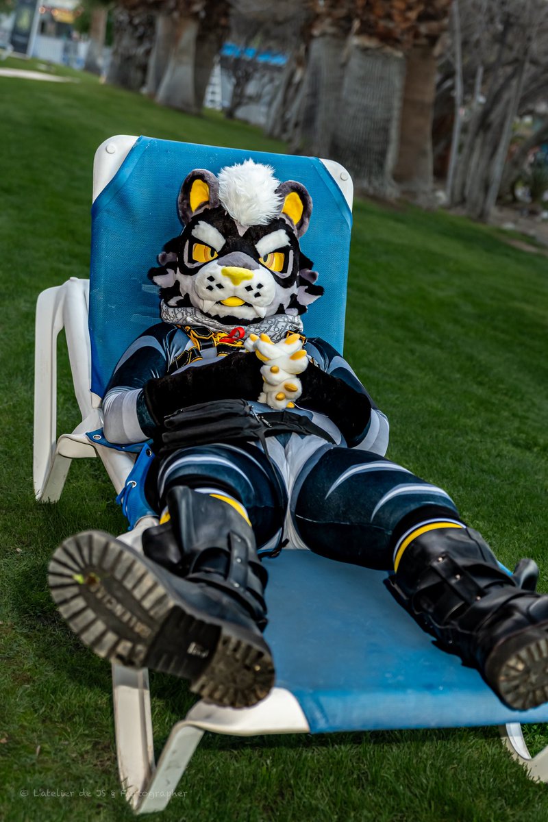 TigerButter tweet media