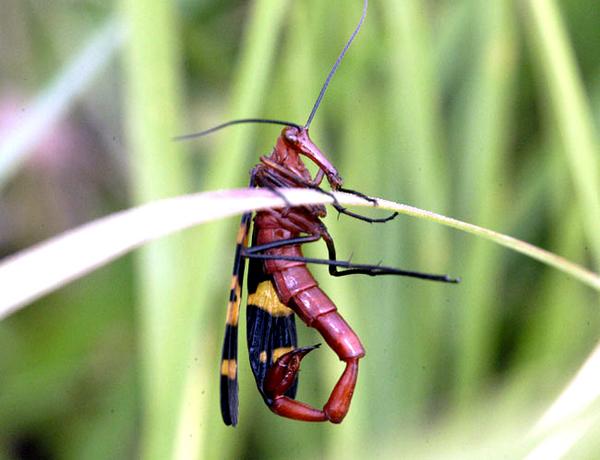 Mundo y Tecnología© tweet media