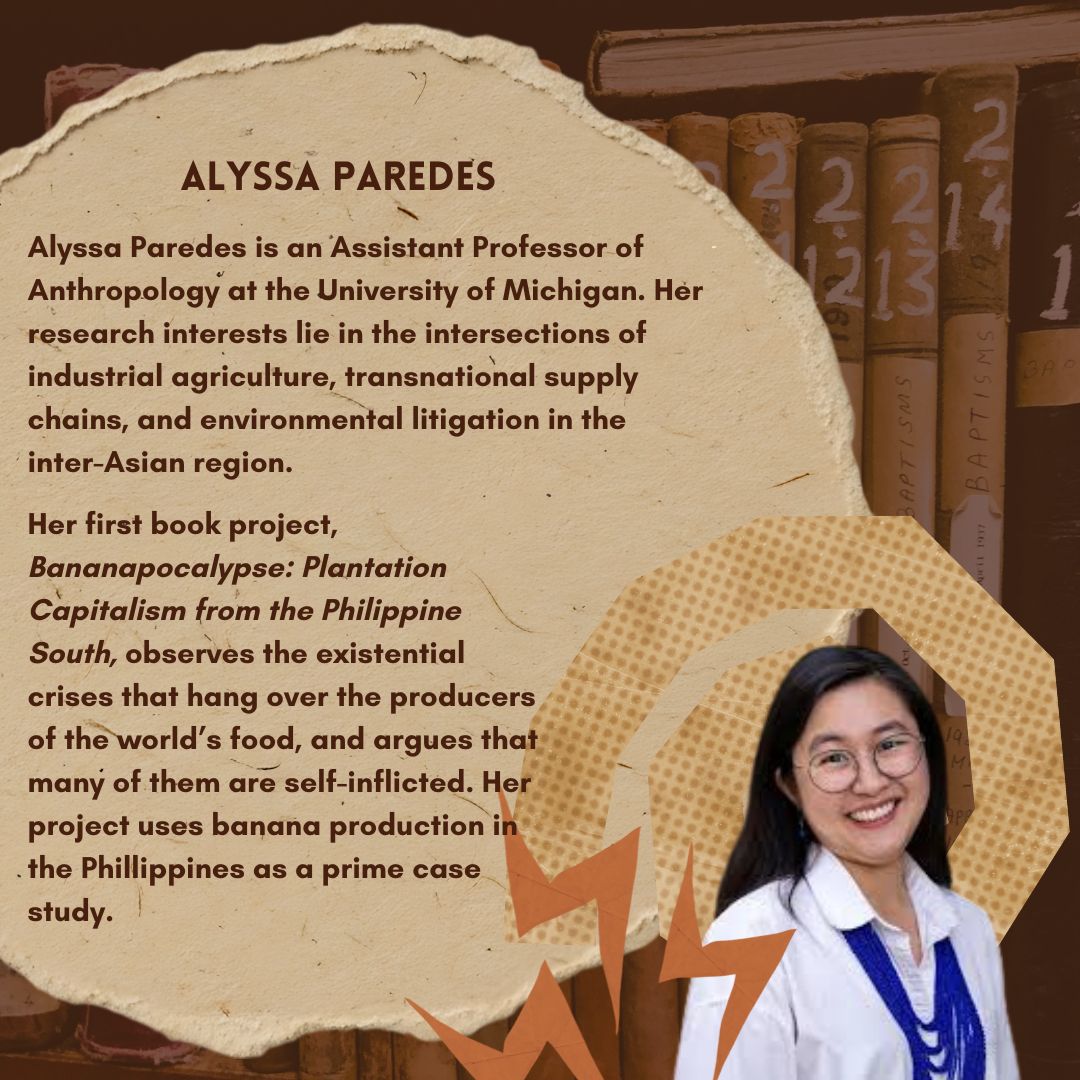 Transforming Anthro tweet media