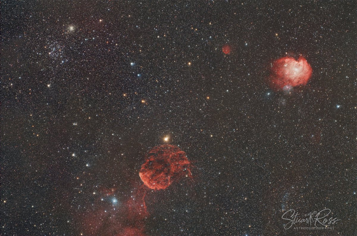 Stuart Ross tweet media