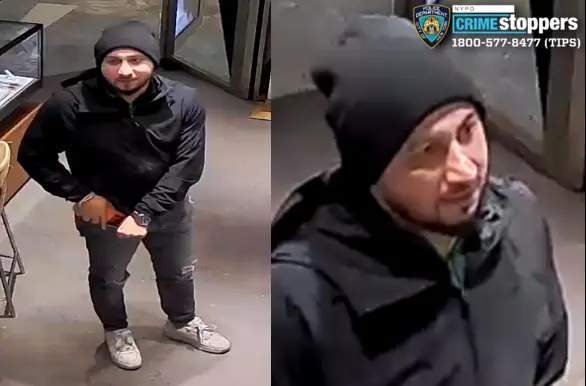 Crime In NYC tweet media