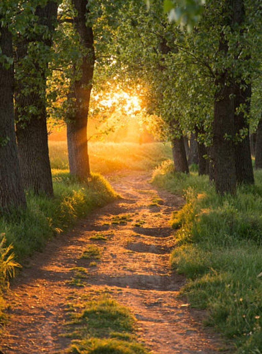 संस्कार शब्दों से नहीं
 व्यवहार से पहचाने जाते हैं।

शुभ प्रभात मित्रों 
Good Morning Friends