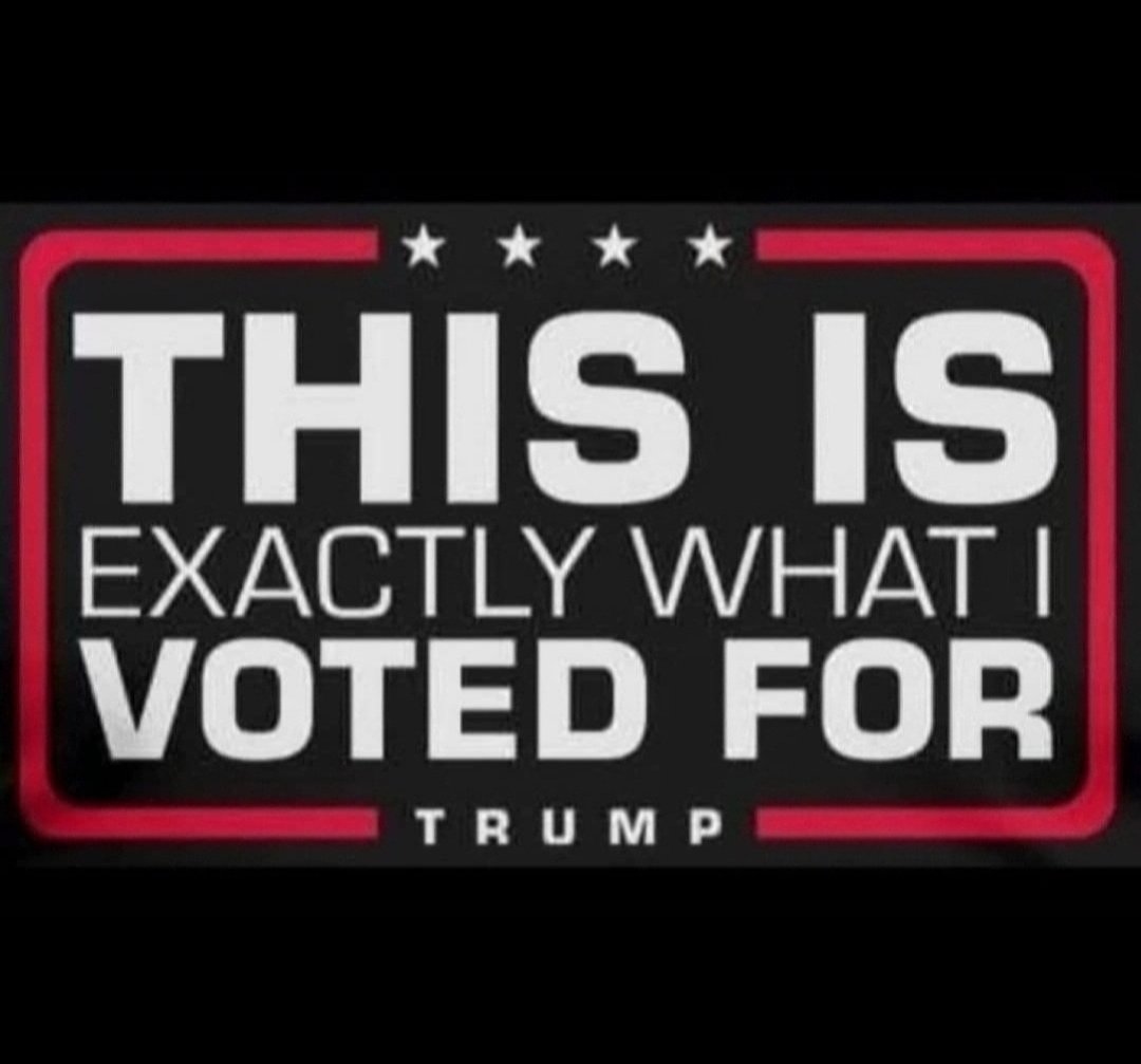 D0nnasue1's tweet image. YES!!!