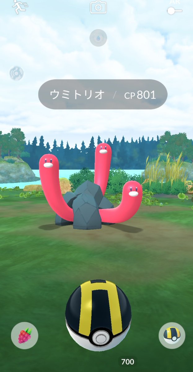 P1YO1's tweet photo. 金沢駅におった！海にいる子じゃないのかな？？ https://t.co/tNCu9VTqZS