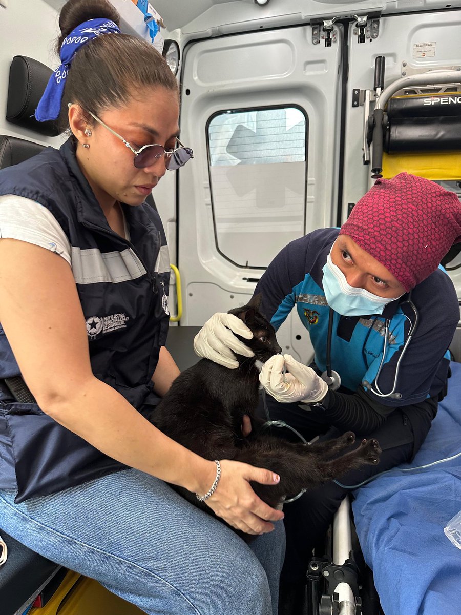 Fundación Refugio PANA tweet media