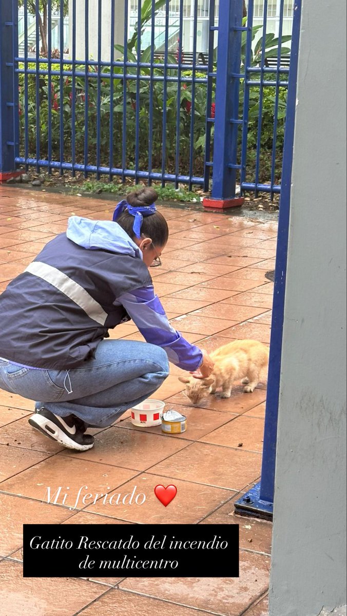 Fundación Refugio PANA tweet media